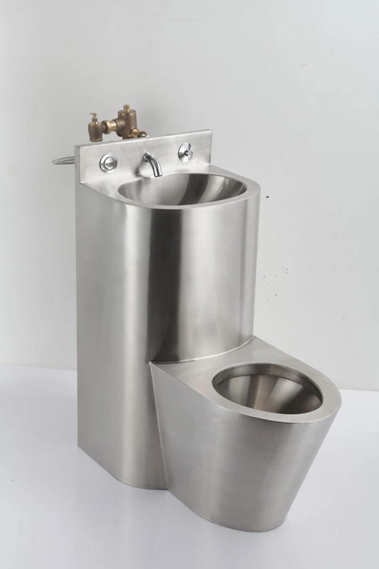 Stainless Steel Toilet Sink Combo